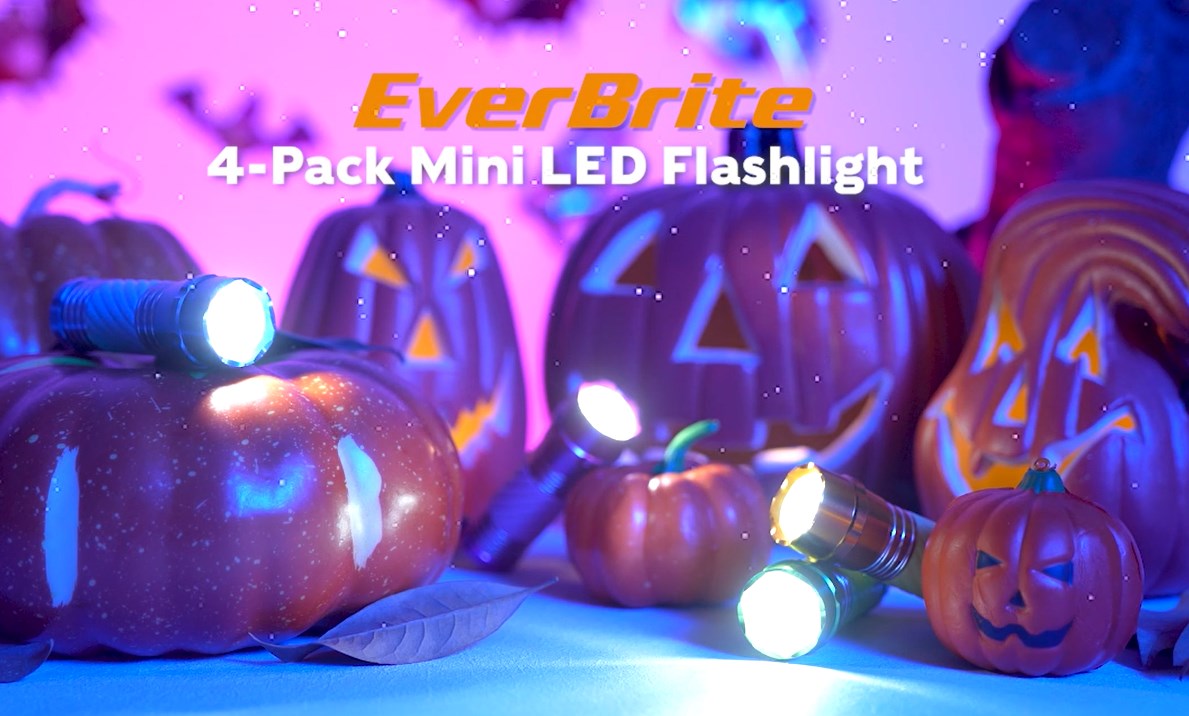 EverBrite 4-Pack Mini LED Aluminum Flashlight Party Favors Colors